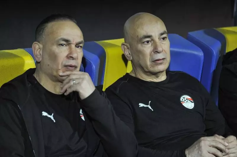 حسام حسن وإبراهيم حسن